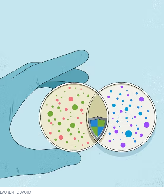Image Le Monde : Comment la découverte de l’immunité ancestrale rebat les cartes de l’immunologie