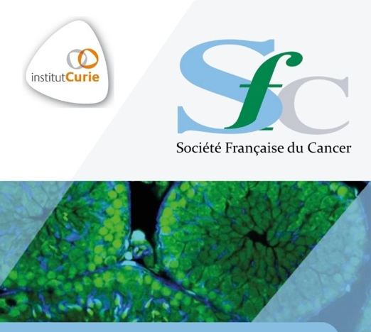 Image Journée scientifique Louise Harel (SFC) hybride