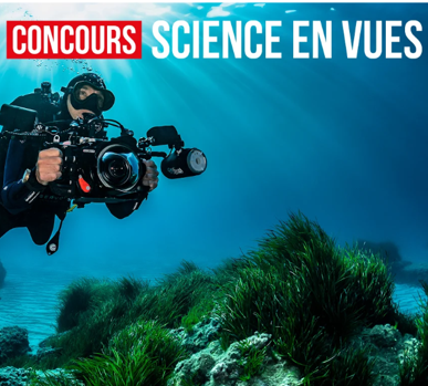 Image « Science en vues » : célébrez la science en photo