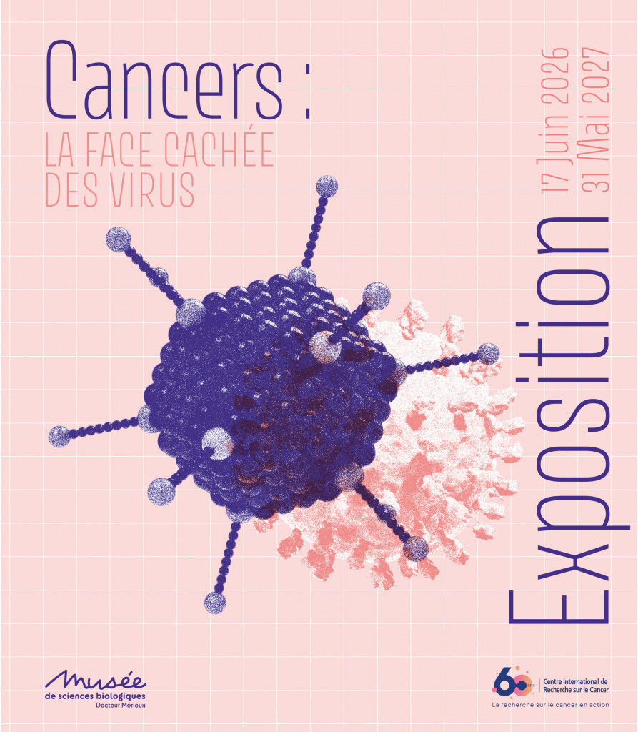 Image Exposition temporaire – Cancer : la face cachée des virus