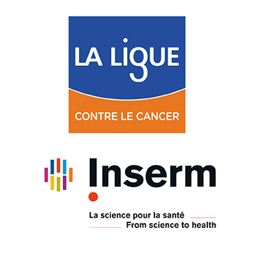 3 nouvelles équipes Inserm de la région labellisées par La Ligue Contre le Cancer