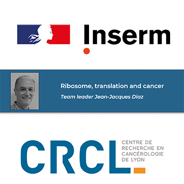 Zoom sur Jean-Jacques Diaz, Directeur de recherche Inserm au CRCL, équipe Ribosome, Traduction et Cancer